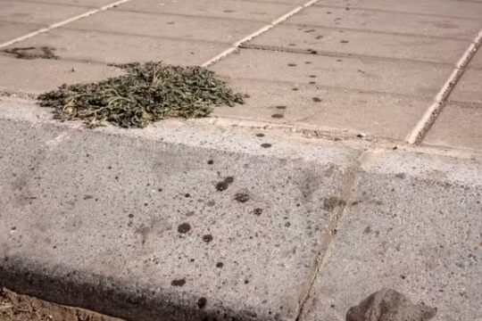 Among the dead in Lqliaa Morocco a film student killed JPG