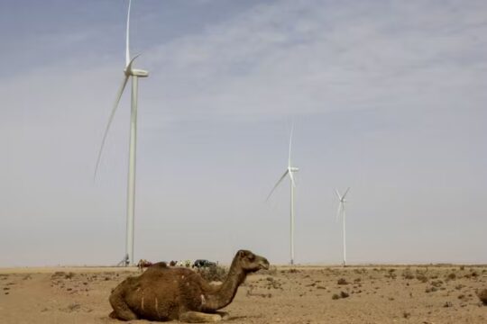 Western Sahara Morocco secures diplomatic victory at the UN jpg